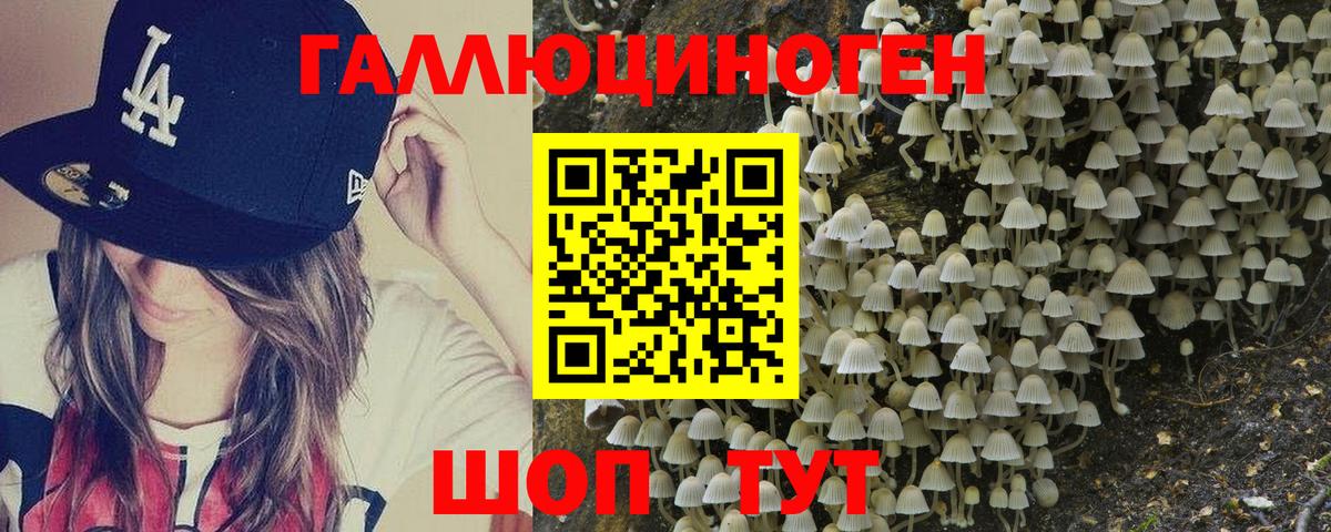 Псилоцибиновые грибы MAGIC MUSHROOMS  Галлюциногенные грибы GOLDEN TEACHER  Вход с VPN  Гусев 
