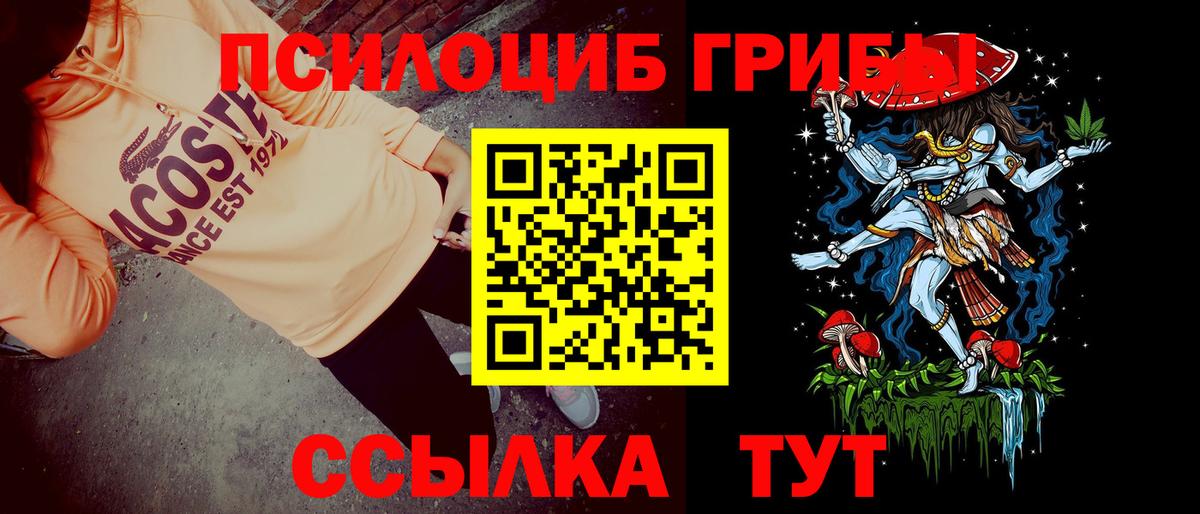 Псилоцибиновые грибы прущие грибы Гусев